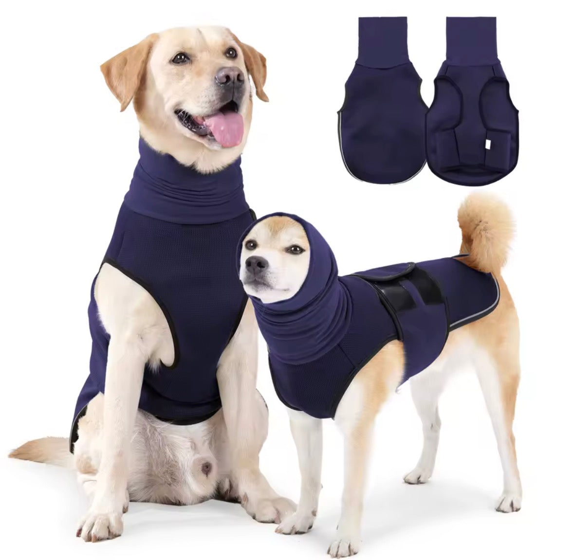 Gilet anti-stress pour chien Câline & Co porté par un chien