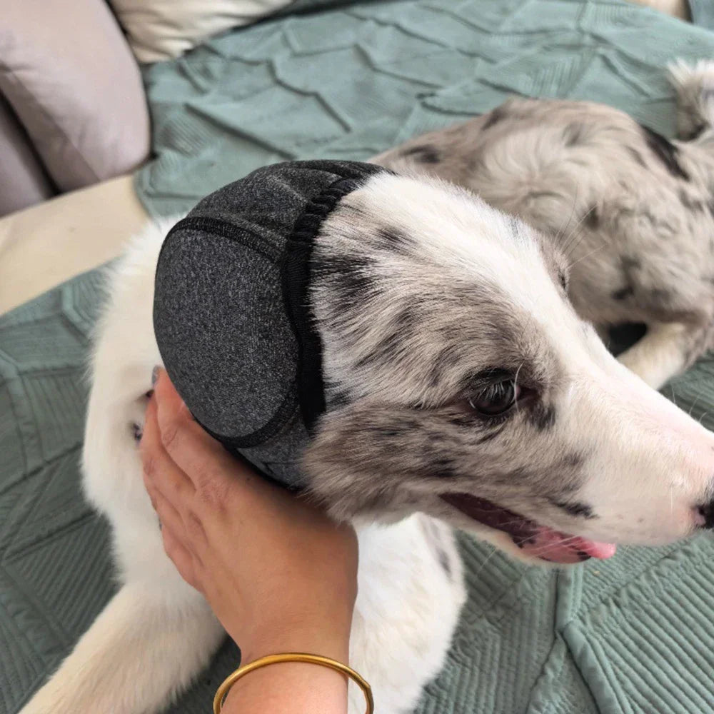 Couvre-oreilles anti-bruit pour chien Câline & Co - tailles disponibles