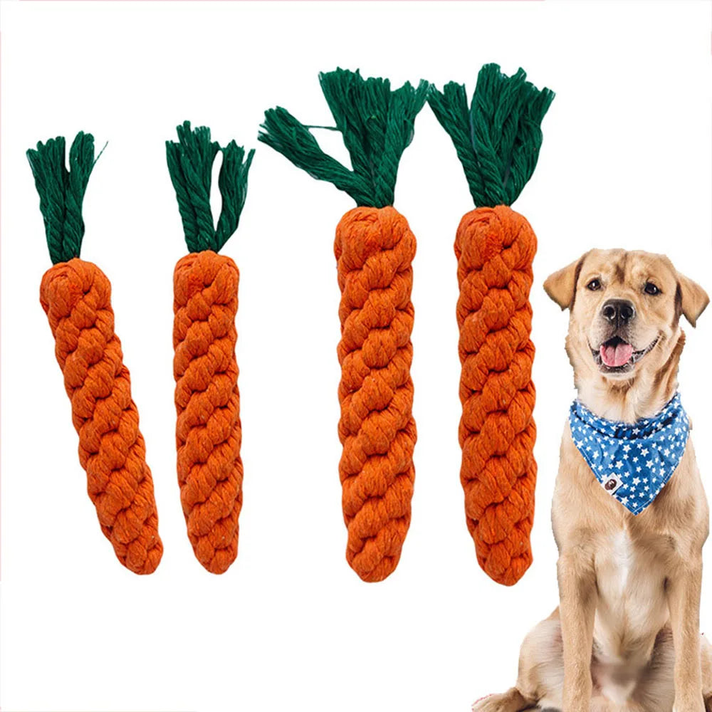 Jouet à mâcher en corde forme carotte pour chien Câline & Co - chien en train de mâcher