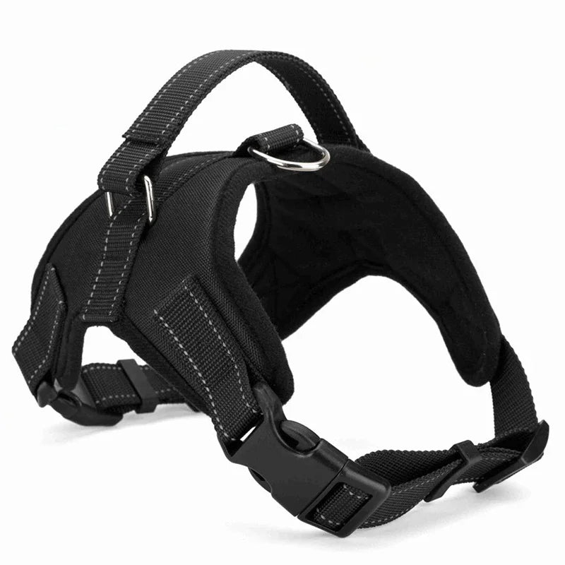 Harnais léger réglable pour chien Câline & Co