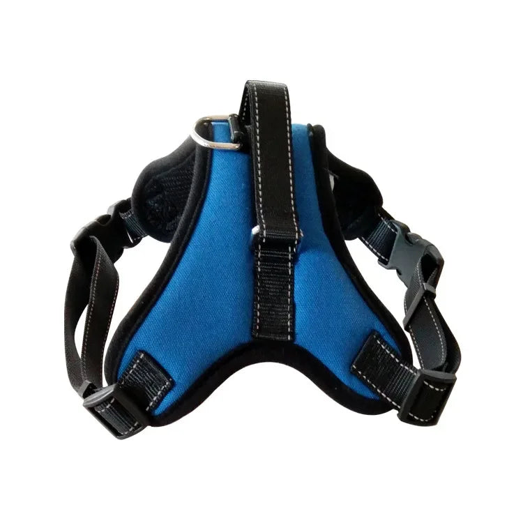 Harnais léger réglable pour chien Câline & Co - coloris disponibles