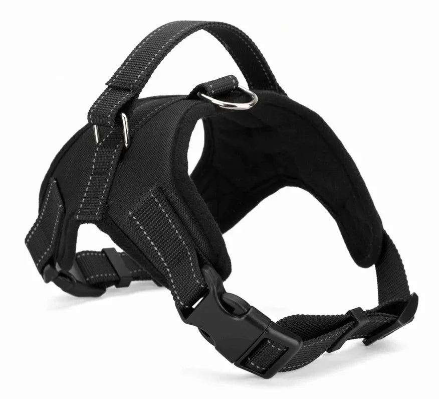 Harnais léger réglable pour chien Câline & Co - détail des sangles réglables