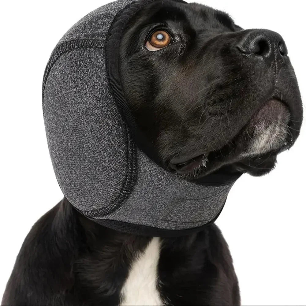 Couvre-oreilles anti-bruit pour chien Câline & Co - anti-stress orages