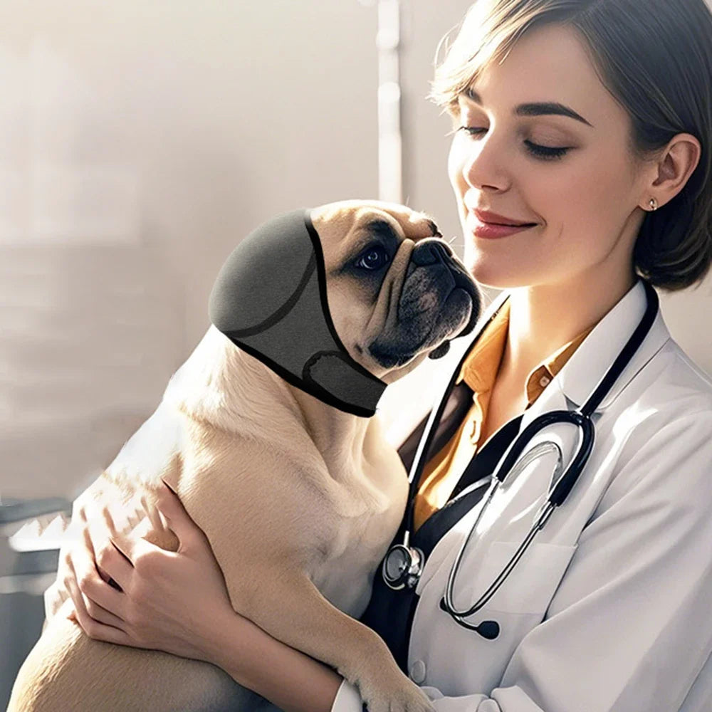 Couvre-oreilles anti-bruit pour chien Câline & Co - porté par un chien