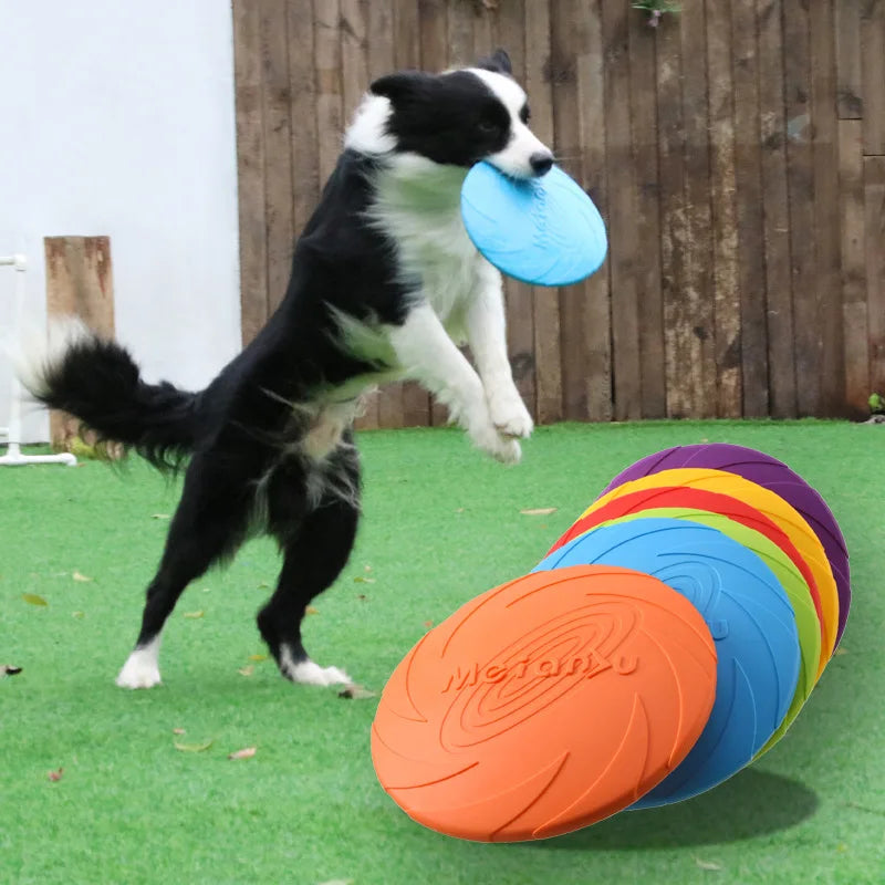 Frisbee résistant pour chien Câline & Co - jeu extérieur